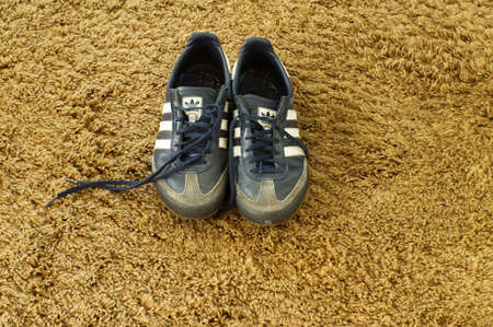 Arnhem, Netherlands - May 20, 2020: Pair of used blue Adidas sneakers seen from the front on brown carpetのeditorial素材
