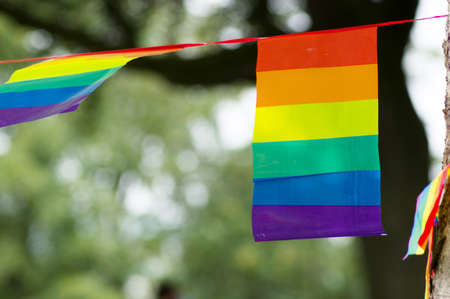 Closeup of two small rainbow flags a symbol for the LGBT communityの写真素材