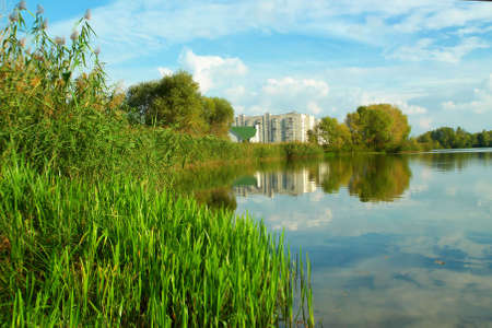 Rushy shore of the Dnieper river. Shot near the Dnieper river, in Poltavska region, Ukraine.の写真素材