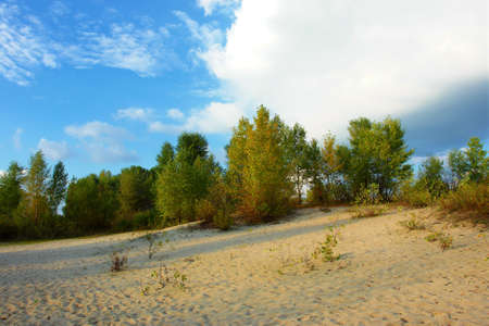 Autumnal river beach with white poplars. Shot near the Dnieper river, in Poltavska region, Ukraine.の写真素材