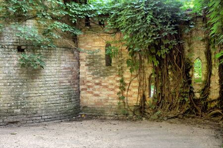 Fragment of the old castle wall. Shot in Askania-Nova, Kherson Region, Ukraine.の写真素材