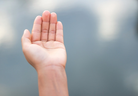 Empty open hand on white backgroundの写真素材