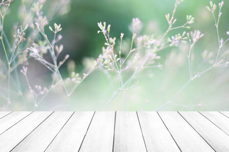 summer background with wooden surfaceの写真素材