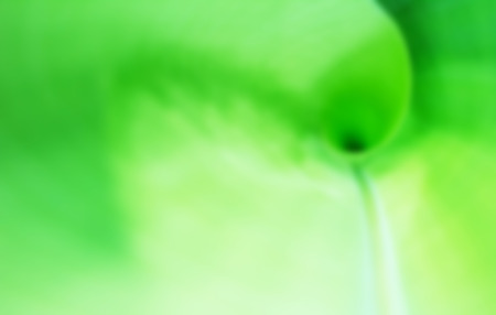 Banana leafの写真素材