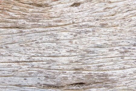 Old, coarse, cracked, roughly, plank surfaceの写真素材