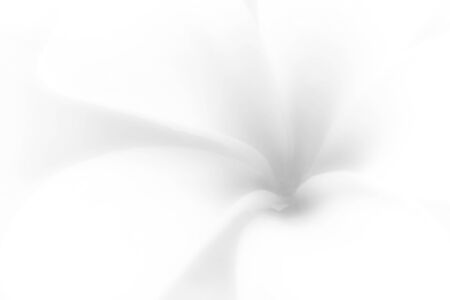 Plumeria flower with soft focus filter colors of beautiful flowers.の写真素材