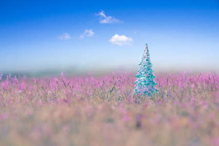 Christmas trees on the background sky style soft focus.Sweet style