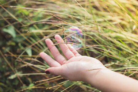 Hand with pasture Woman picking up flowers on a meadow, hand closeupの写真素材