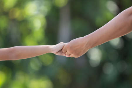 hand hold mom Concept
Love the giver
Of mothers with children On blurred background nature