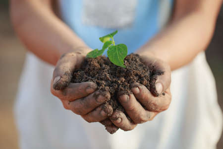 Saplings in the hand
The concept of World Environment Dayの写真素材