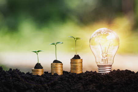 light bulb and pile of coins on natural blur background
investment idea business plan and environmental conservationの写真素材