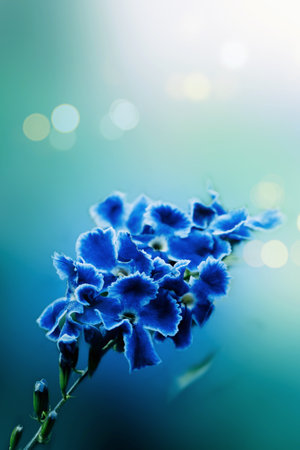 beautiful natural flowers
Blurred natural pastel background. Double light style.
concept of love and care for the environmentの写真素材