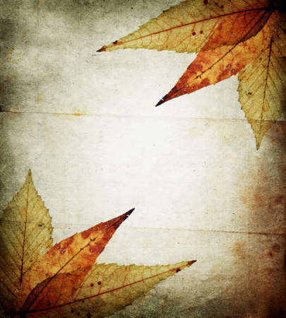 Autumn abstract paper background ornated with leaves and with light spot in center. Beautiful grunge color imageの写真素材