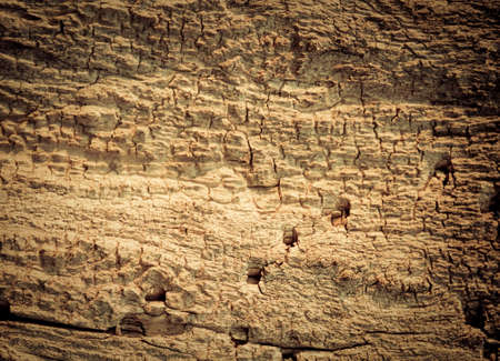 old  crumbly wood backgroundの写真素材