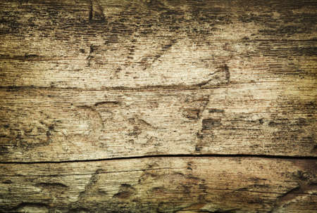 Wooden grunge fissured background damaged by parasitesの写真素材