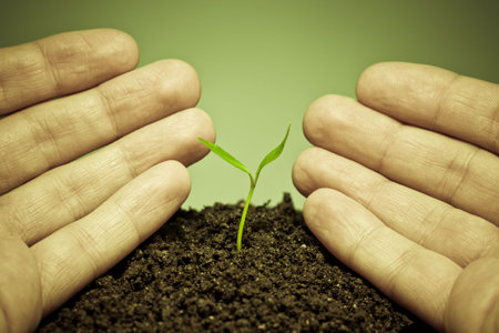 human hands showing to new green life. Conceptual environment image.の写真素材