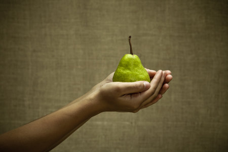 Green pear in female hands. Natural rural style imageの写真素材