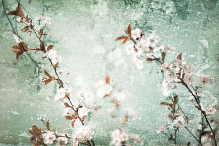 Grunge floral scratched textured background with flowers blossomの写真素材