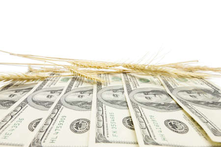 Profit from harvest background  Agricultural business concept  Low aperture shot, wide angle shotの写真素材