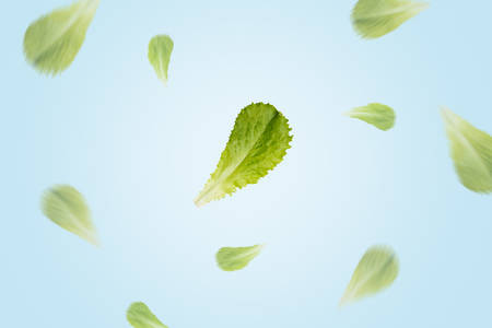 Flying lettuce leaves on blue background. Focus on central leafの写真素材