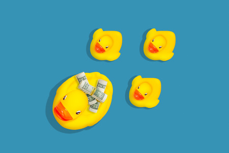 Little toy ducks follow big duck with money rolls. Financial leader, money making, business...