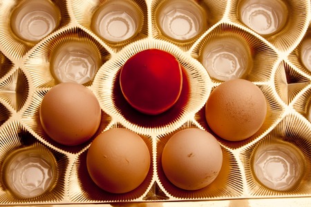 eggs on a dark background in different anglesの写真素材