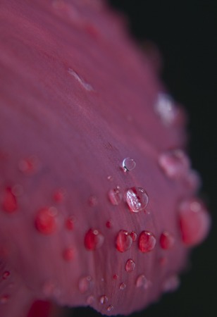 close up of front of a  vintage carの写真素材