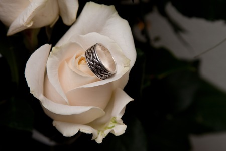 rings on the leaves of white roses with a nice side lightingの写真素材