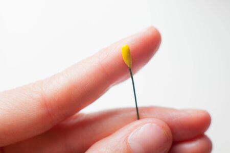 handmade paper, the process of making flowersの写真素材