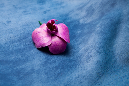 Hands working on pottery wheel ,  retro style tonedの写真素材