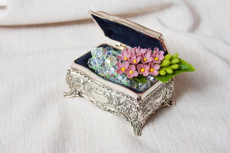 Old silver metallic retro casket over white background with reflectionの写真素材