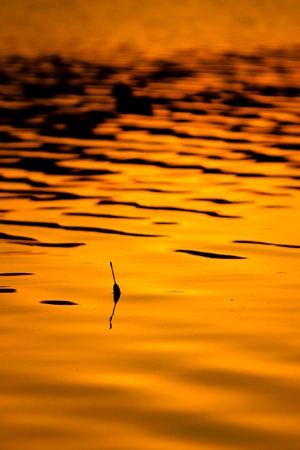 fishing float on the water at sunsetの写真素材