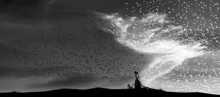 Graphic allegorical figure of a man with wings, cloud goes behind, turning black birds in white....