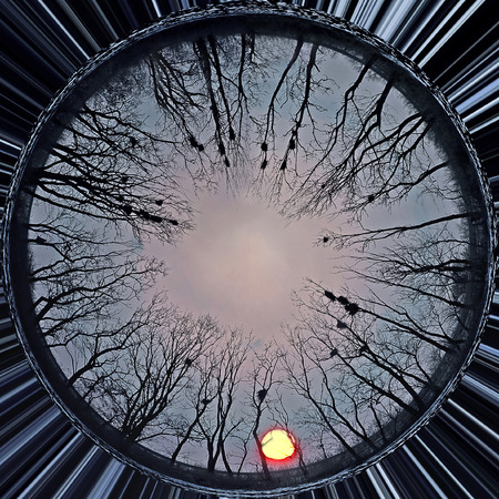 Panorama of winter trees with empty bird nests at sunsetの写真素材