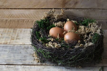 Eggs in a stylized  nest, lined with moss on a wooden standの写真素材