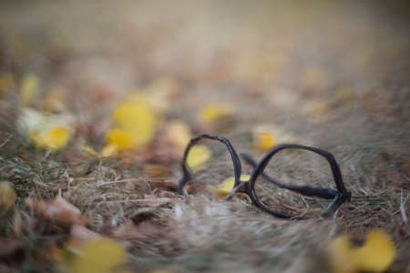 Morning walk around the cityの写真素材