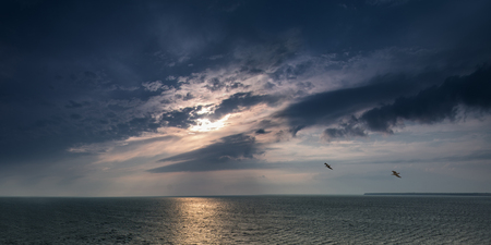 Two birds flying over the expanse of the sea evening. Panoramaの写真素材