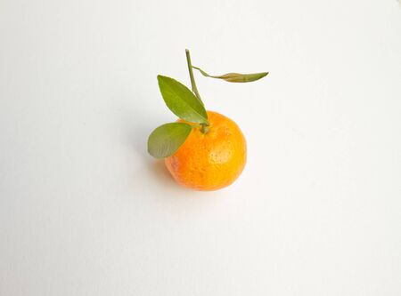 Orange on a white backgroundの写真素材