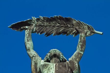 Goddess olive branches at Fort Citadellaの写真素材