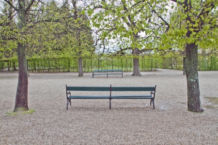 Empty chair in the Beautiful gardenの写真素材
