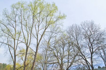 Spring is back to the Czech Republic
