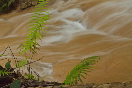 Photos closeup Sai Yok Noi Waterfallの写真素材
