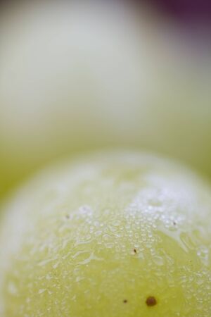 Close up image of fruit grapesの写真素材