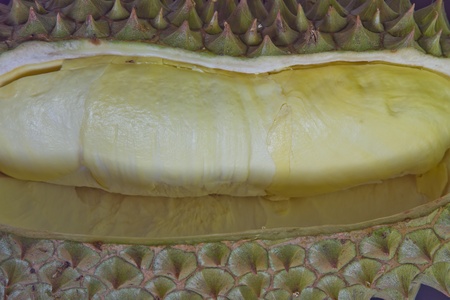 Mon Thong Durian close up picture