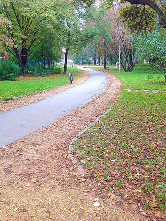 Road a little way in the garden.の素材