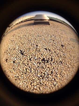 Sunshine and rocks on the floorの素材