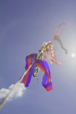 Tour assistance with local traditionの写真素材