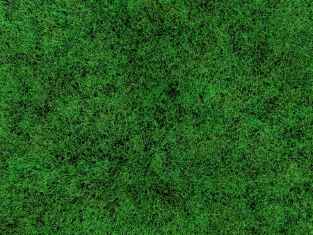 Grass textureの写真素材