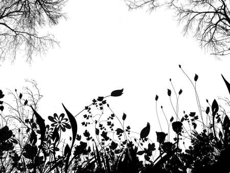 floral back groundの写真素材