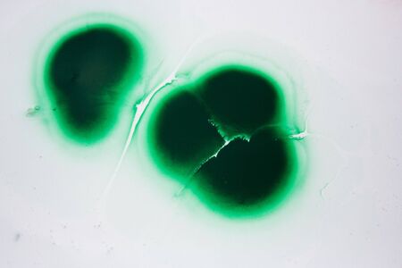 splat overlay edの写真素材